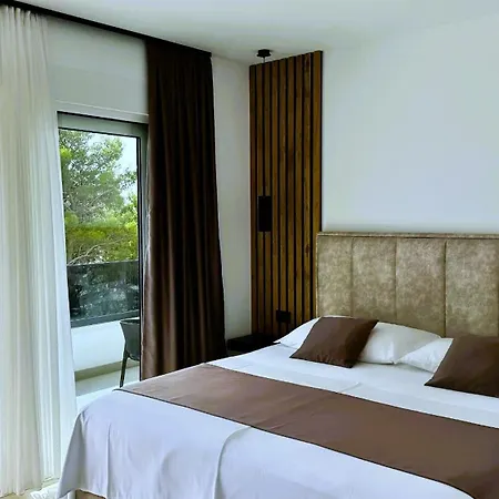 Modern Dado With Heated Pool & Sea View In Makarska